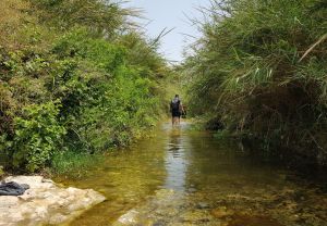 עין עמיקם: טבילה צוננת במרחק נסיעה קצר